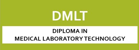 DMLT